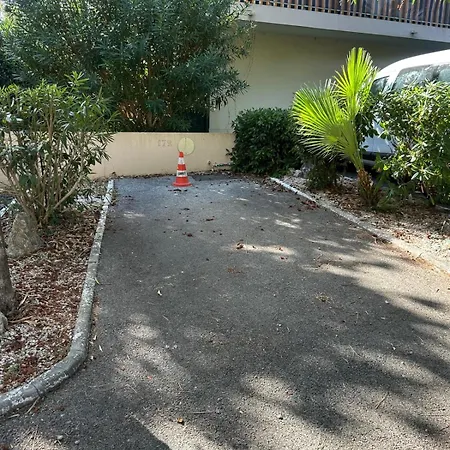 Apartamento Cozy - 12 Min Walk To The - Free Parking *